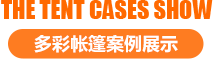 Case